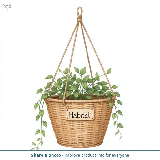 Habitat Rattan Hanging Basket