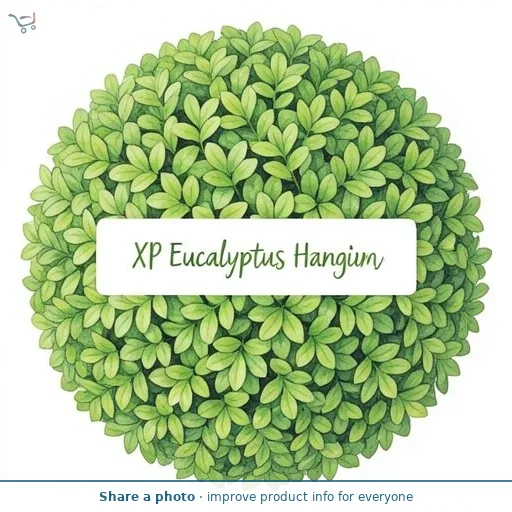 Garden XP Eucalyptus Hanging Ball