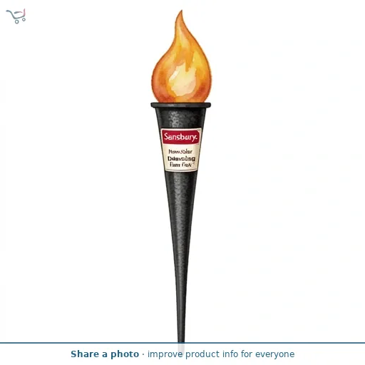 Sainsbury's Home Solar Dancing Flame Torch