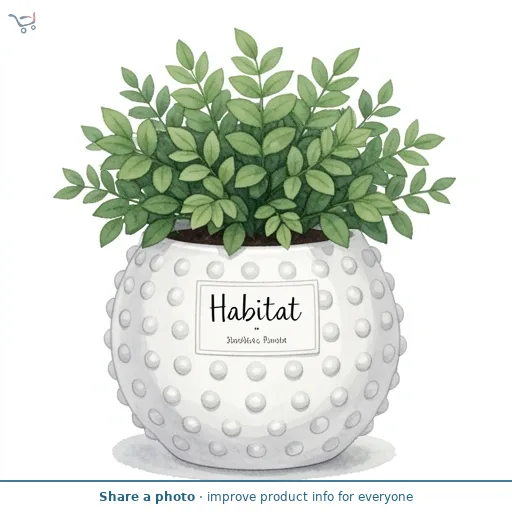 Habitat Stoneware Bobble Large Planter