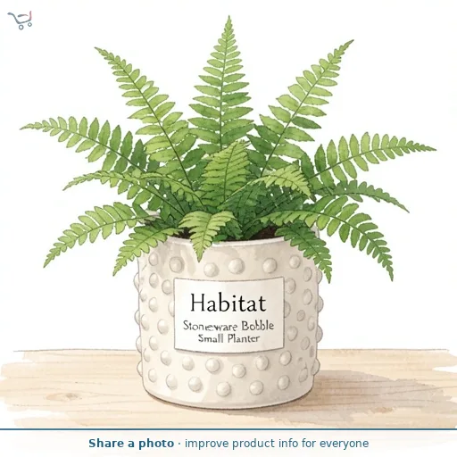 Habitat Stoneware Bobble Small Planter