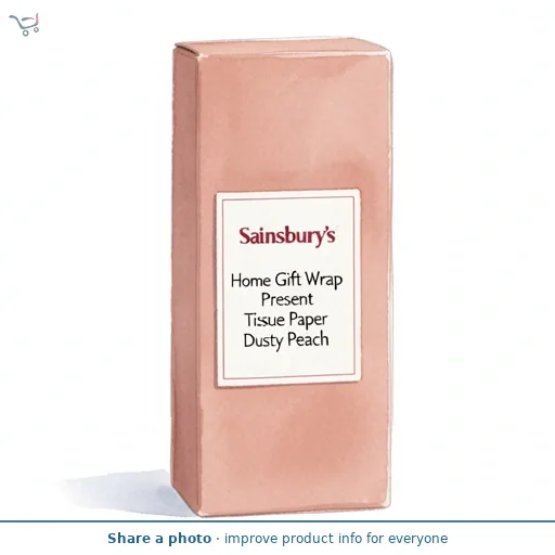 Sainsbury's Home Gift Wrap Present Tissue Paper Dusty Peach