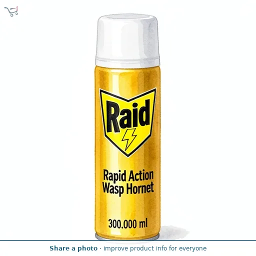 Raid Rapid Action Wasp Hornet 300ml