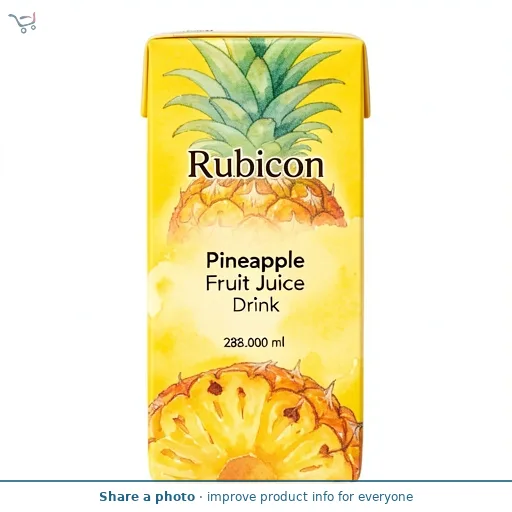 Rubicon Pineapple Fruit Juice Drink 288ml