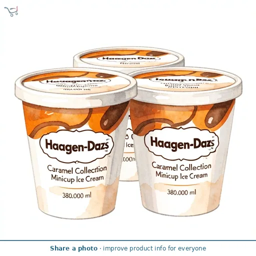 Haagen-Dazs Caramel Collection Minicup Ice Cream 4x95ml
