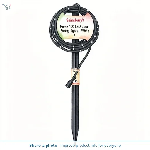 Sainsbury's Home 100 LED Solar String Lights - White