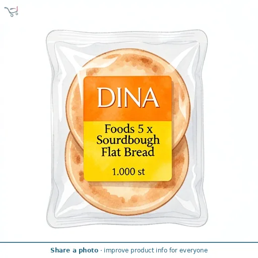 Dina Foods 5 x Sourdough Paninette Flat Bread