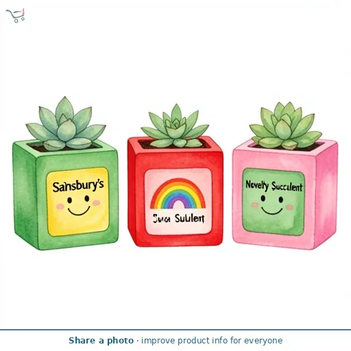 Novelty Succulent Plants