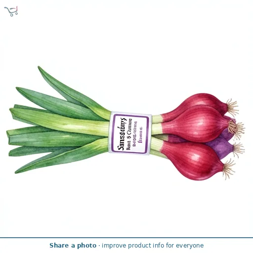 Sainsbury's Red Spring Onions, Taste the Difference