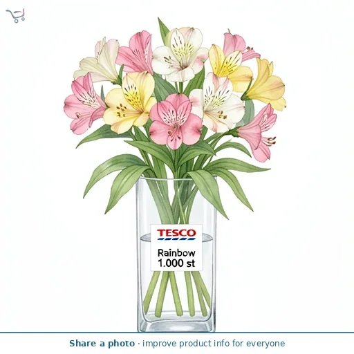 Rainbow Alstroemeria