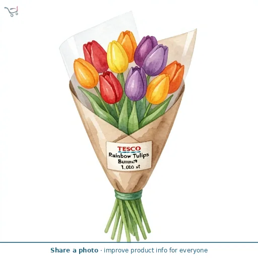 Tesco Rainbow Tulips Bunch