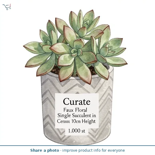 Curate Faux Floral Single Succulent in Cement Pot, 10cm Height