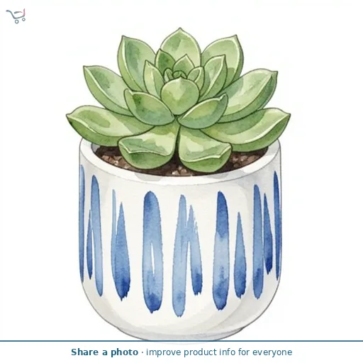 Curate Faux Floral Single Succulent in Blue Detail Ceramic Pot, 11cm Height