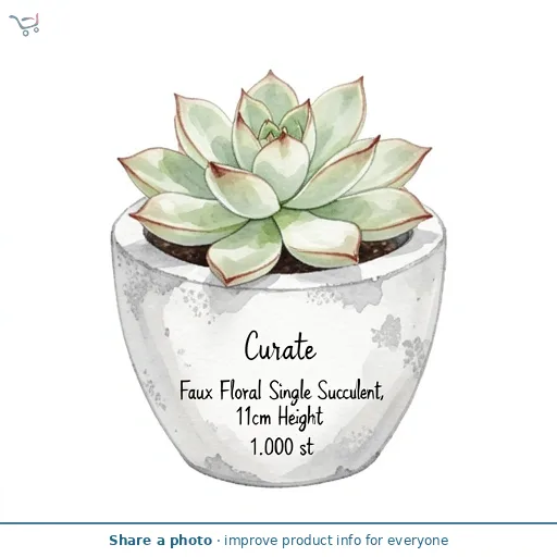 Curate Faux Floral Single Succulent in Conch Cement Pot, 11cm Height