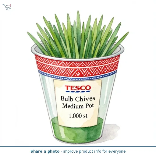 Tesco Bulb Chives Medium Pot