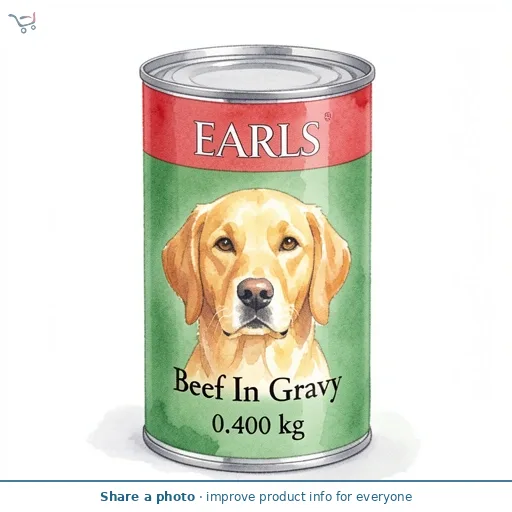Beef In Gravy 400g