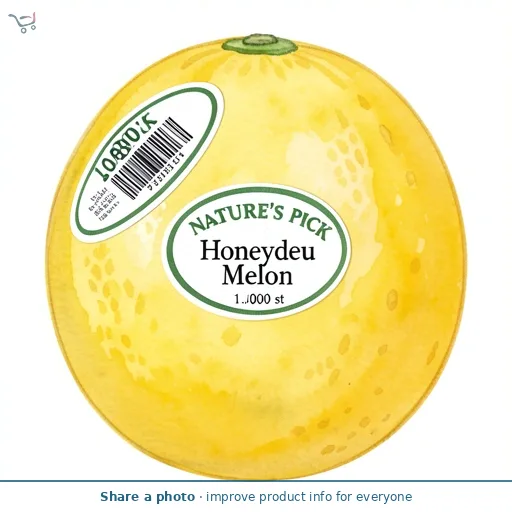 Honeydew Melon