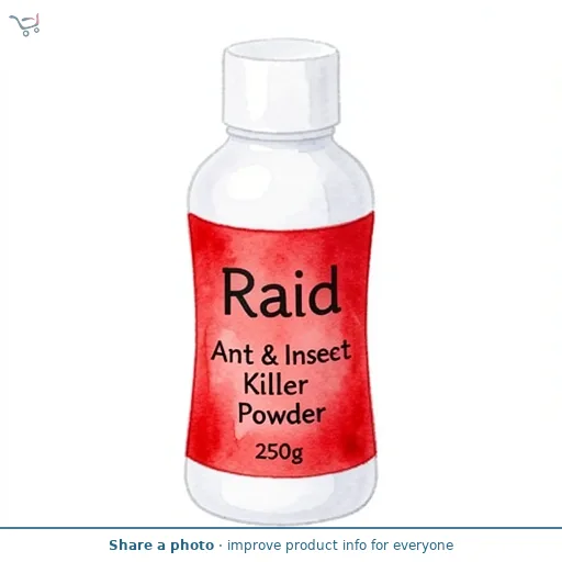 Raid Ant & Insect Killer Powder 250g