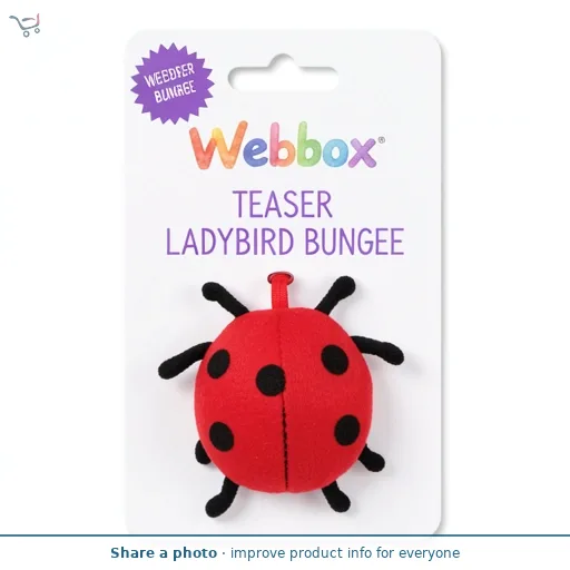 Webbox Teaser Ladybird Bungee