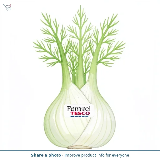Tesco Fennel Each