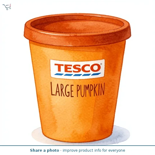 Tesco Large Pumpkin
