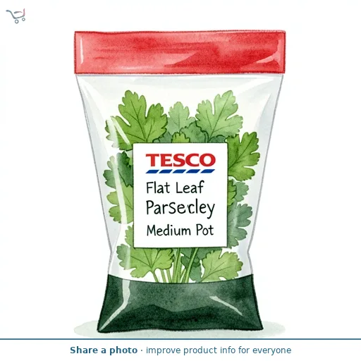 Tesco Flat Leaf Parsley Medium Pot