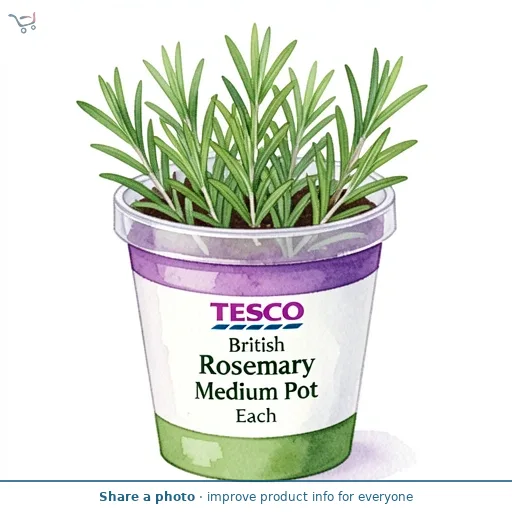 Tesco British Rosemary Medium Pot Each