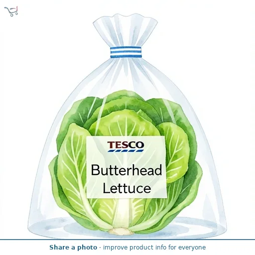 Tesco Butterhead Lettuce