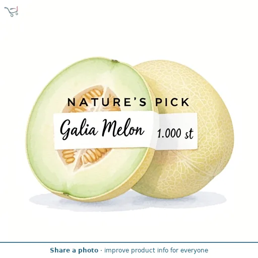 Galia Melon