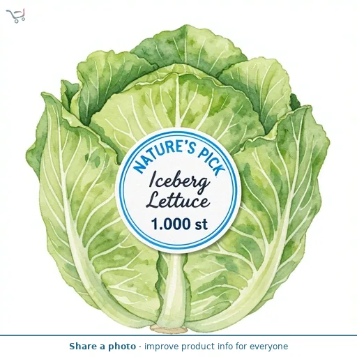 Iceberg Lettuce