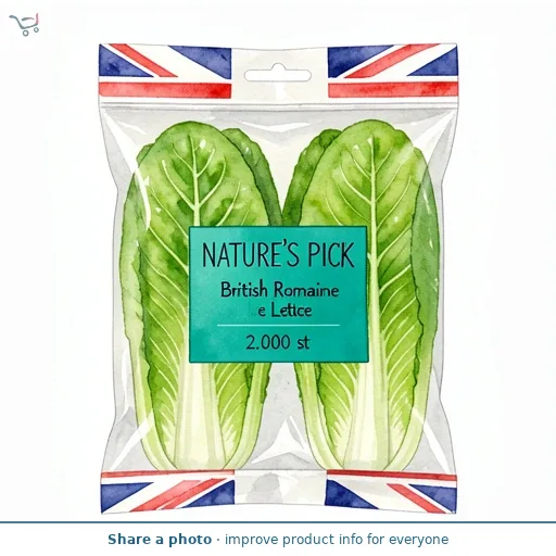 British Romaine Lettuce