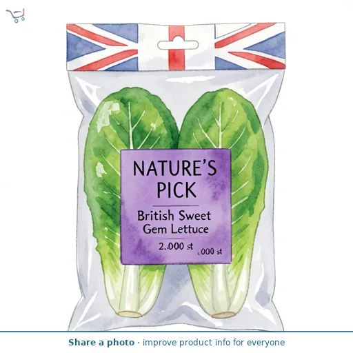 British Sweet Gem Lettuce