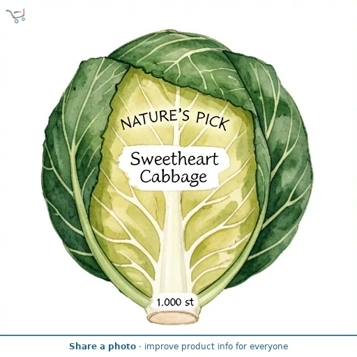 Sweetheart Cabbage