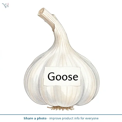 Loose Garlic