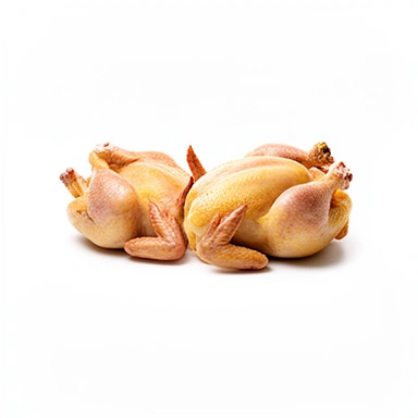 Chicken & Poultry