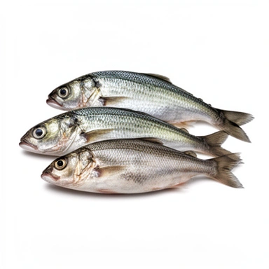 Fresh Fish